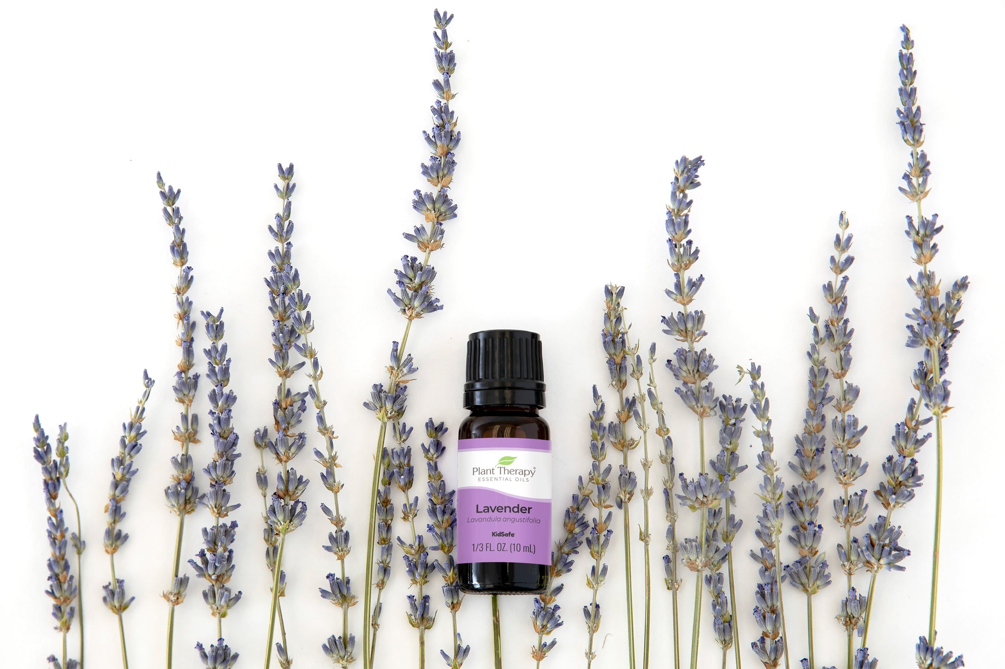 Lavender Essential Oil by Plant Therapy