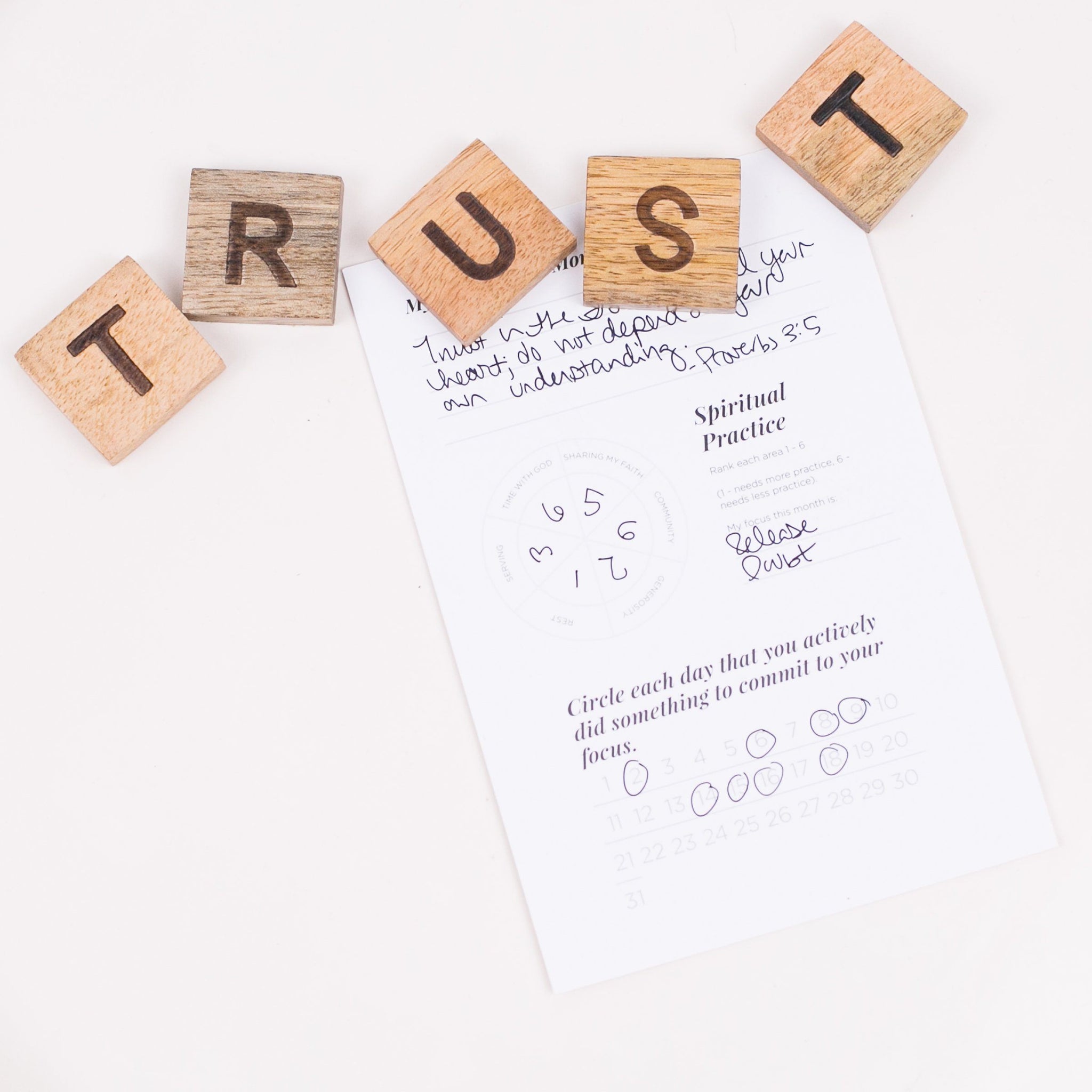 Wooden Magnet Letters, TRUST